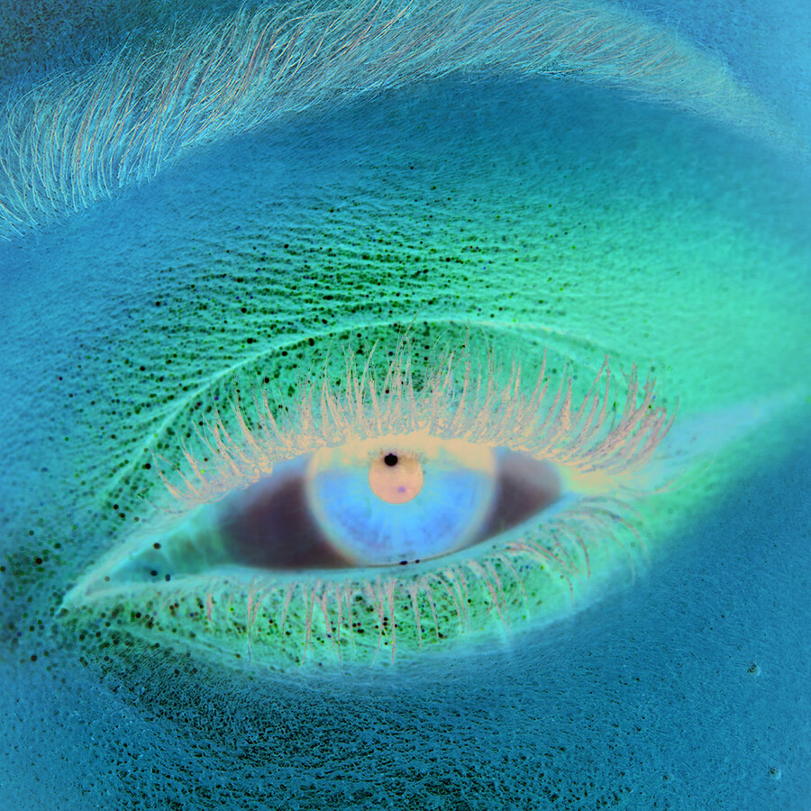 charlottes palette of beautifying eye trends